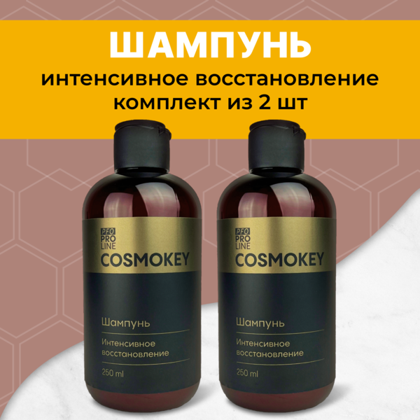 Cosmokey / Космокей Шампунь интенсивное восстановление для поврежденных волос, 250 мл, набор 2 уп.