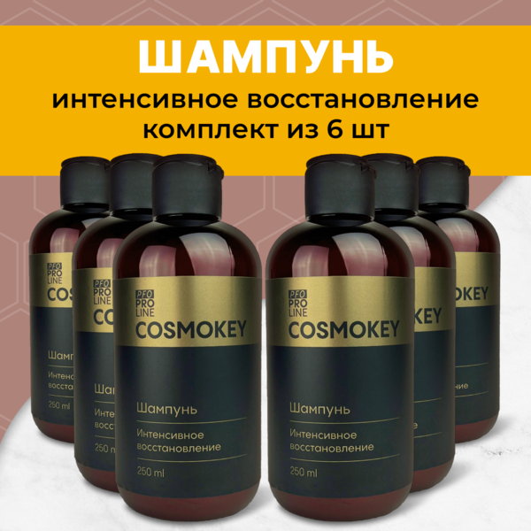 Купить Cosmokey / Космокей Шампунь интенсивное восстановление для поврежденных волос, 250 мл, набор 6 уп. фото 