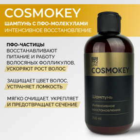 Cosmokey / Космокей Шампунь интенсивное восстановление для поврежденных волос, 250 мл