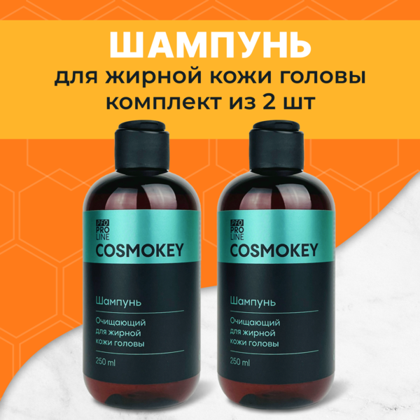Cosmokey / Космокей Шампунь очищающий для жирной кожи головы, 250 мл, набор 2 уп.