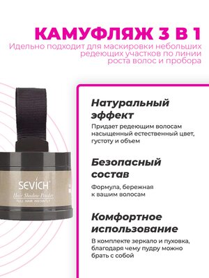 Sevich Пудра маскирующая для волос и бровей (средний блонд), 4 гр 1 Купить Sevich Пудра маскирующая для волос и бровей (средний блонд), 4 гр фото 1