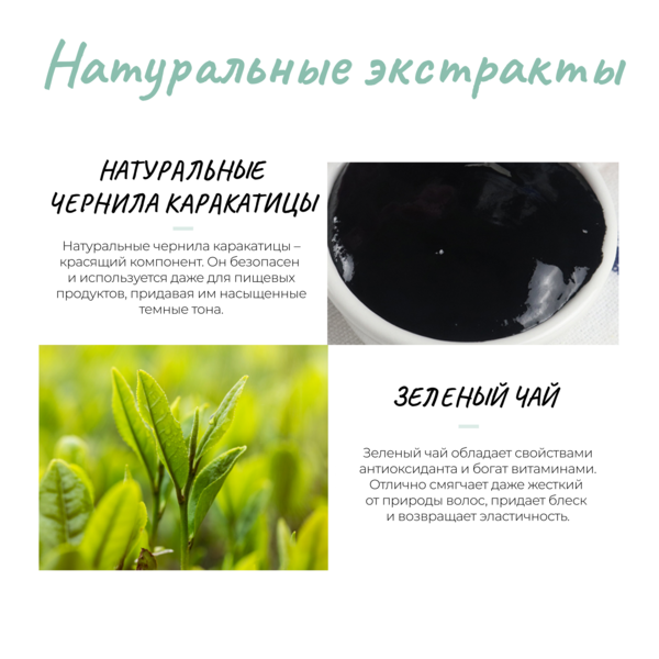Купить Sevich Magic Greyhair / Маскирующее компактное средство для седых волос, 20 мл, черный фото 1