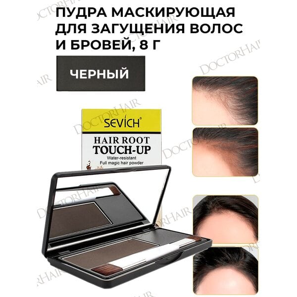 Купить Sevich Пудра маскирующая для волос и бровей (черный), 8 гр фото 