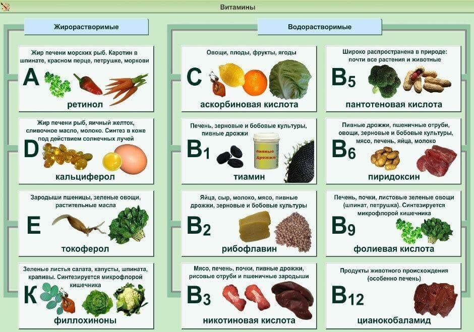 таблица продуктов с содержанием витаминов