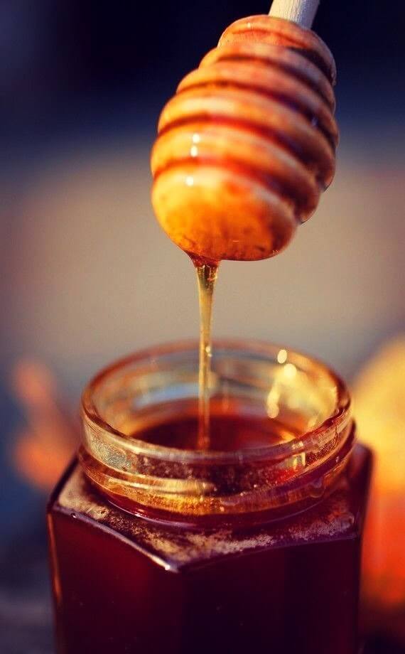 репейное масло с медом